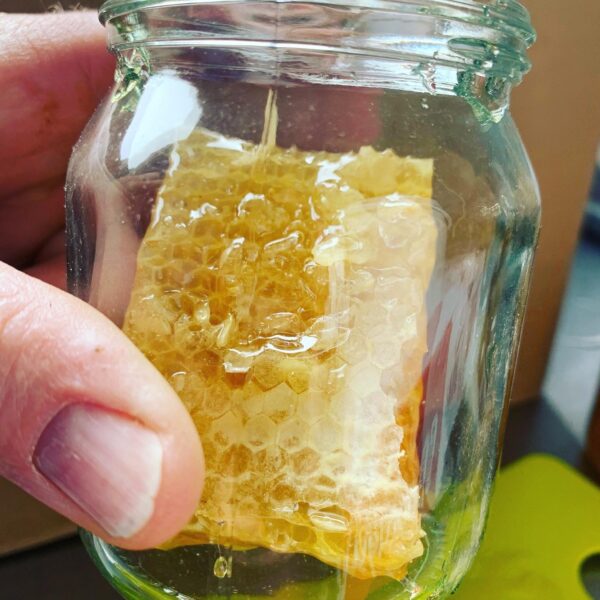Farmgate Honeycomb