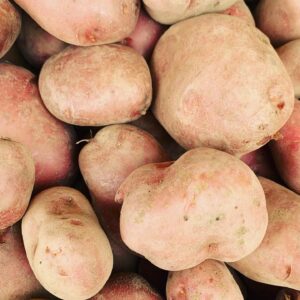 Available seasonally. Organically Grown Red Potatoes