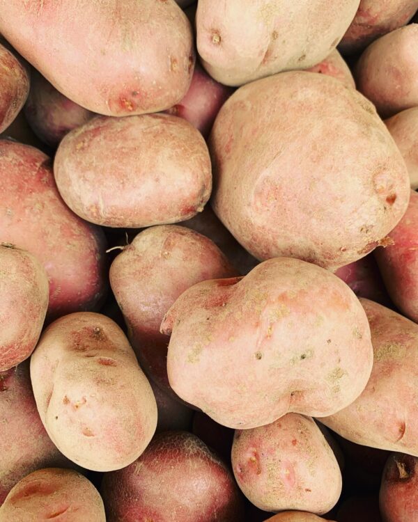 Available seasonally. Organically Grown Red Potatoes