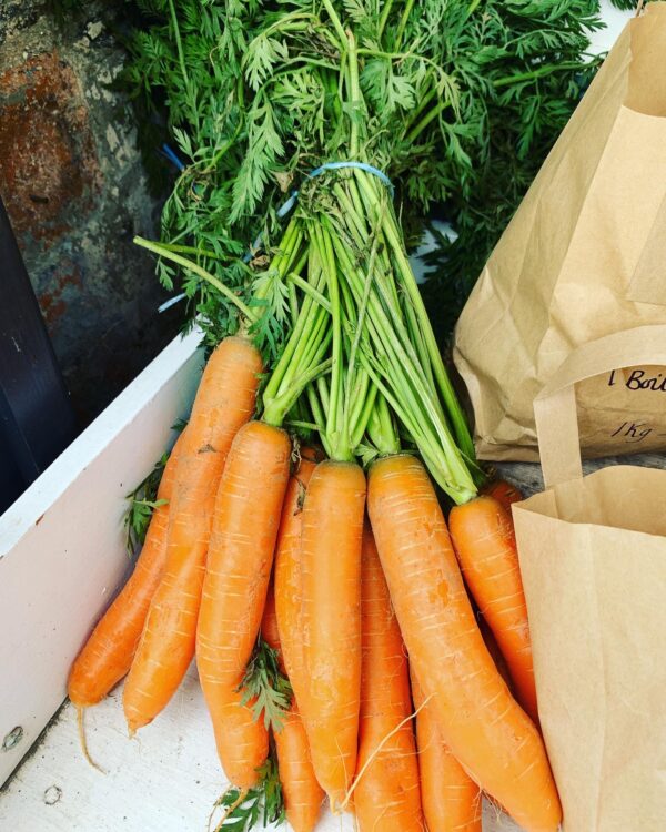 Carrot tops make a great pesto