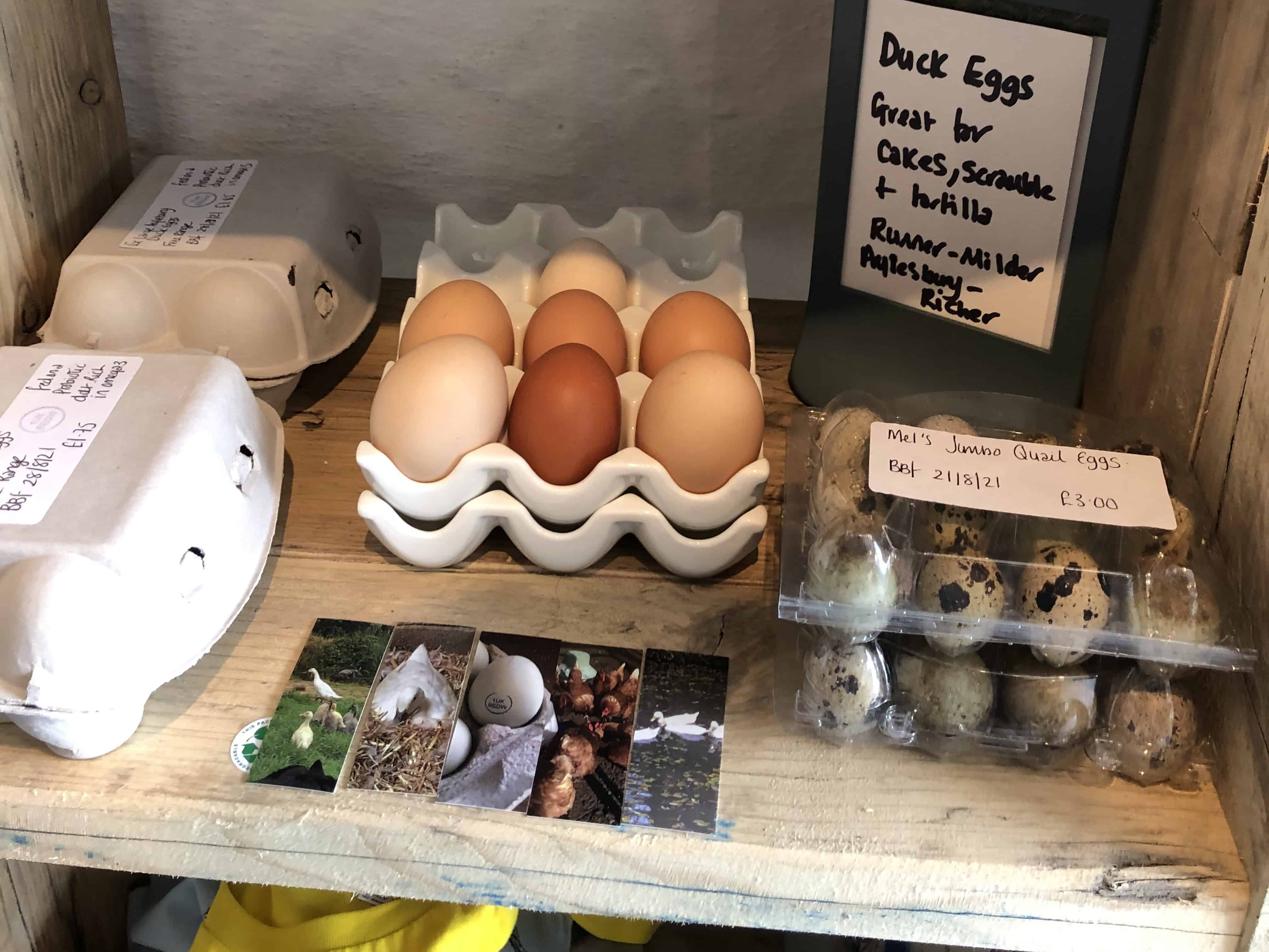 Farmgate Eggs Shop Display