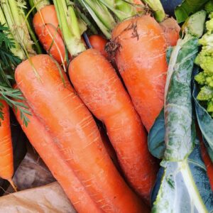 Farmgate Carrots